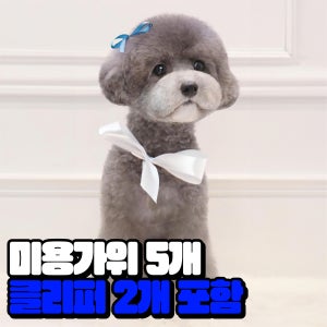 [더이상낭비]애견 미용 학원 준비물 도구박스 도구함 세트