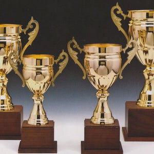 트로피 소량 제작 기념 학교 태권도 축구 교회 음악회 대회 행사 단체용 우승컵 빅이어