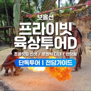 보홀 육상투어 D코스 반딧불 럭셔리 디너 포함 (단독차량, 단독가이드, 초콜릿힐 선셋)