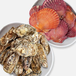 통수산 통영 프리미엄 입망 세척석화+홍가리비 석가 SET 반반 찜 구이 초장