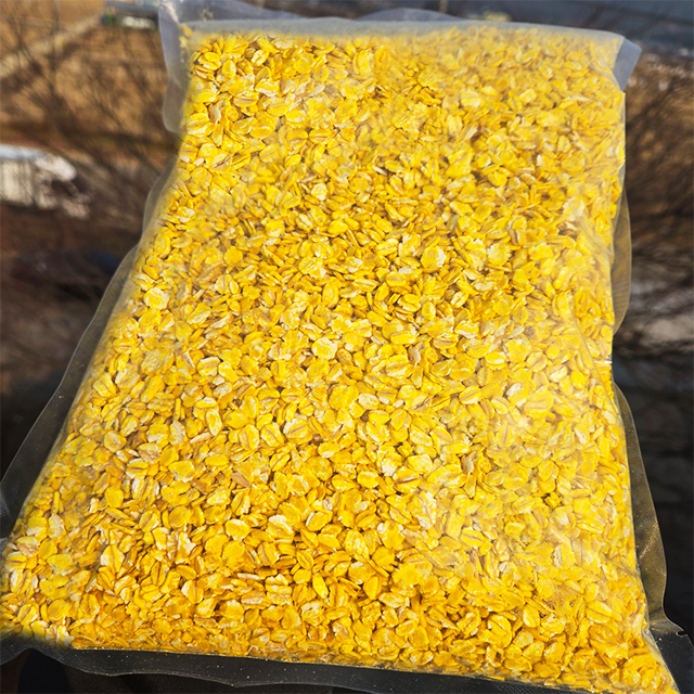 도원피싱 대용량 황금보리 압맥 1.5kg 벌크 노란압맥 감성돔밑밥 원투 카고 집어제