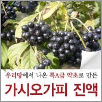 신토불이약초 / 가시오가피 진액 즙 엑기스 / 90ML X 60팩