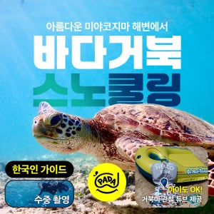 8월 예약가능[PADA] 미야코지마 바다거북 스노쿨링 그룹투어 (한국인가이드 + 수중촬영)
