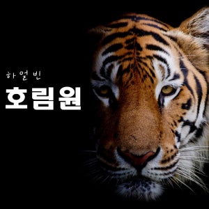 하얼빈 동북 호림원 타이거파크 입장권+관광버스