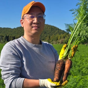 진심먹거리 제주 친환경 유기농당근 10kg