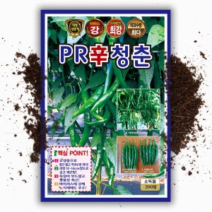 매운 고추씨앗 PR신청춘 200립 역병 바이러스 강한 고추 씨 종자