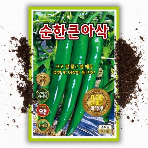 큰 아삭이 고추씨앗 100립 안매운 오이맛 고추 씨 종자