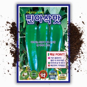 안매운 아삭이 고추씨앗 100립 찐아삭 오이맛고추 씨 종자