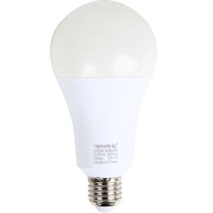 데이타임 컨버터내장형LED램프20W 주광색 1개