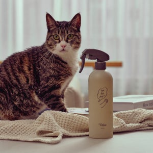 고양이 모래 탈취제 화장실 살균 바이바이배드 500ml 미야옹철 김명철 수의사