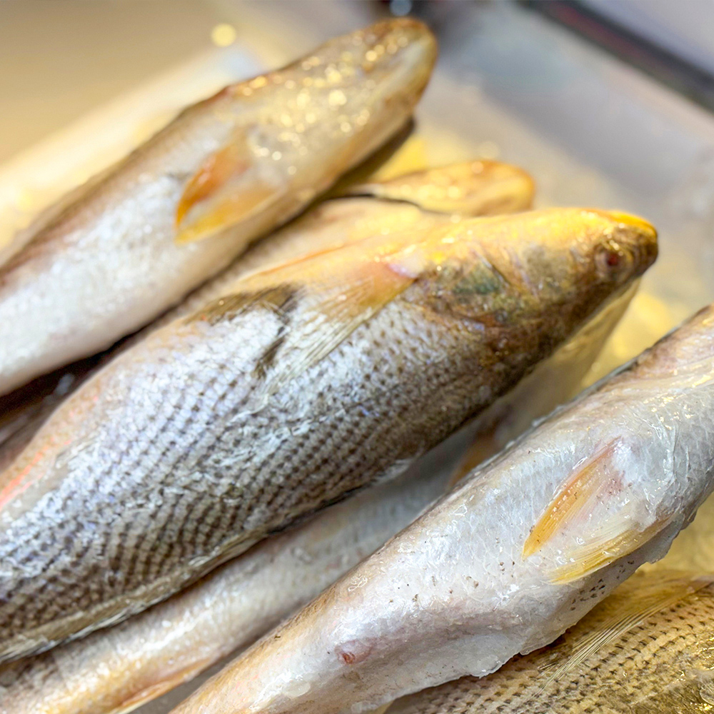 민어조기 뾰족 부세 파 손질 냉동 구이 피데기 반건조 제수용 제사