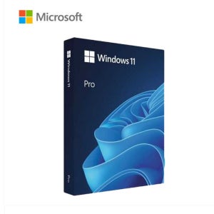 마이크로소프트 WINDOWS 11 PRO FPP 처음사용자용 윈도우 11 프로 정품