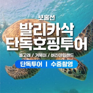 보홀 호핑투어 자유 여행 보홀션 프라이빗 단독진행 전담가이드