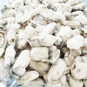 산지직송 통영 제철 냉동굴 1kg 급속냉동 굴무침