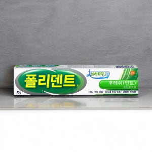 의치부착제 치아 접착제 홈 메우기 치아 이빨 본드 후레쉬 민트 70g 1개