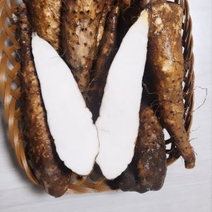 안동마 산마 참마 마 장마 생마 10kg