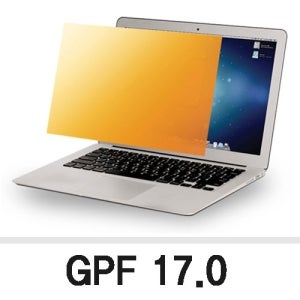 3M 정보보안기 GPF17.0 1개