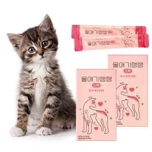 울애기쌩쌩 스틱 짜먹는 종합영양제 눈 피부 관절 면역 & 신장 심장 간 30포, 2개