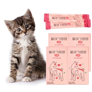 울애기쌩쌩 스틱 짜먹는 종합영양제 눈 피부 관절 면역 & 신장 심장 간 30포, 4개