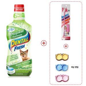 덴탈 후레쉬 캣 오리지널 고양이 치석 입냄새 제거 구강관리+캐릭터식기 2구+콤비 칫솔세트