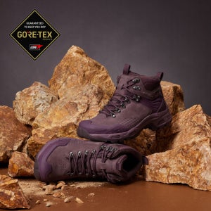 코모두스_D/퍼플(D/PURPLE)_US-GH20772