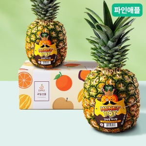 [프루미츠] 달콤한 허니팟 파인애플 2입 총 2.8kg