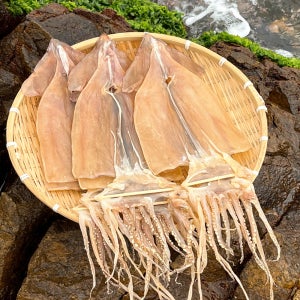 마른오징어 건오징어 10미