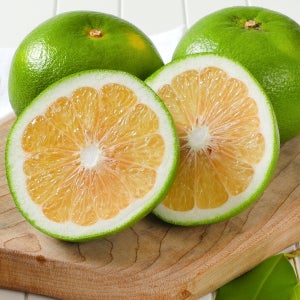 청자몽 미국산 메로골드 이스라엘 스위티 청 자몽 직수입