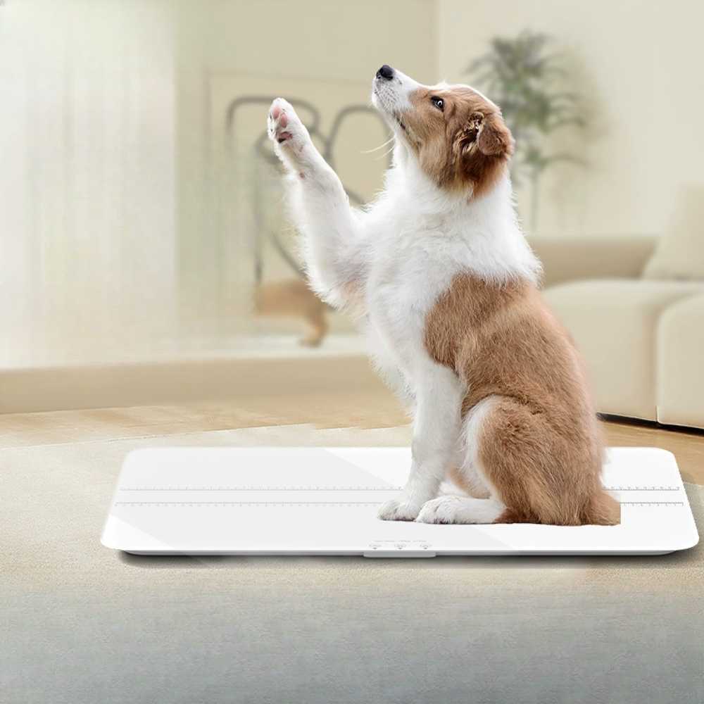 대형견 체중계 동물병원 강아지 몸무게 측정기 진료소 (자사)