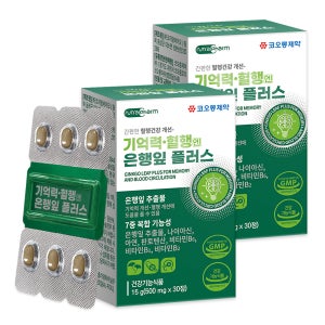 코오롱제약 기억력 혈행 개선 징코 플러스 혈액순환 은행잎추출물 500mg 30정, 2개