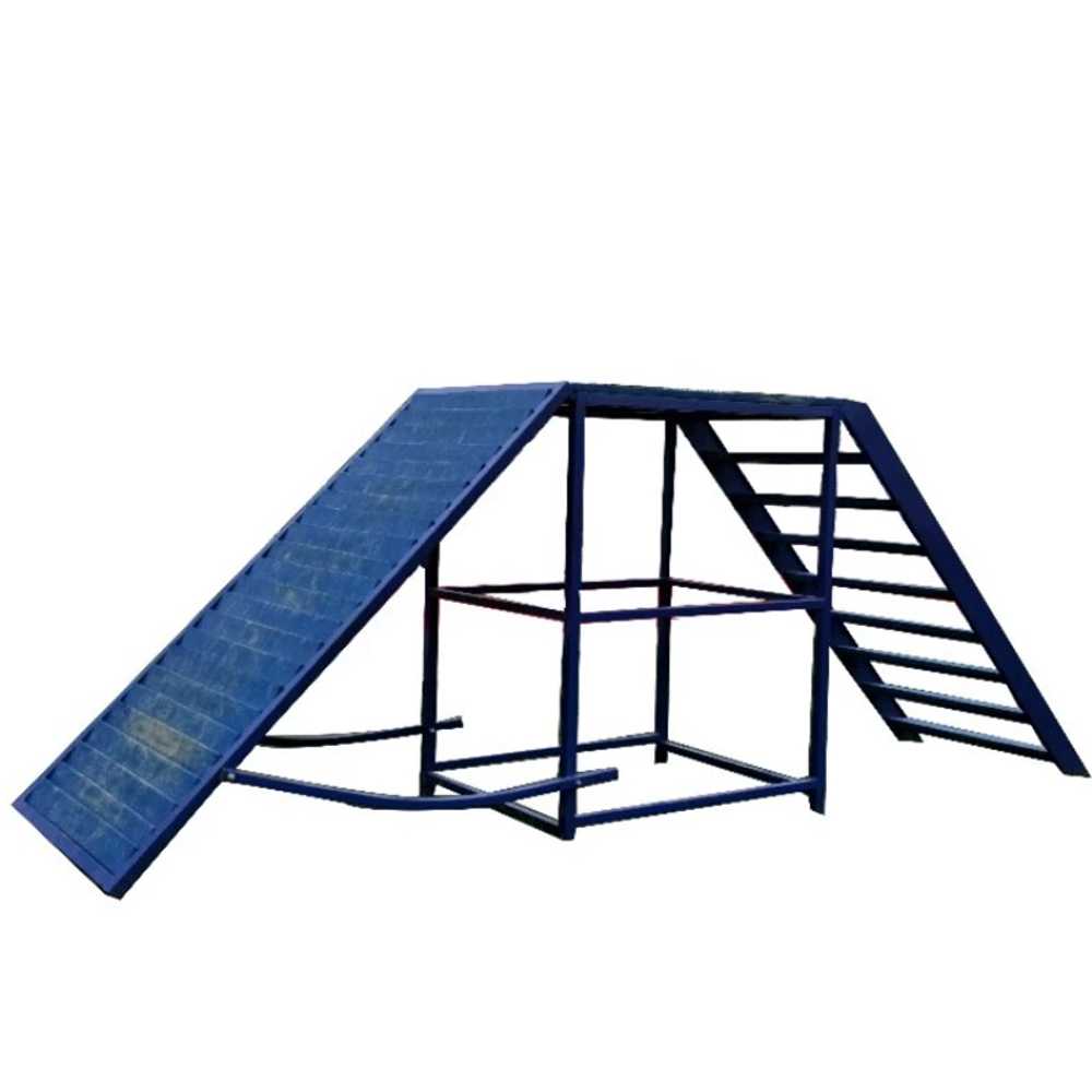 개 훈련 학원 (Dog Training Classes)