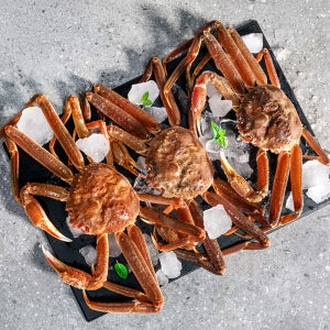 [선주직판] 국내산 포항 명품 박달 대게 구룡포 제철