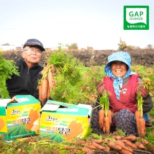 오가네팜 국내산 당근 제주 구좌 흙 햇당근 5kg 10kg