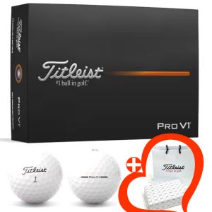 타이틀리스트 골프공 Pro V1 12구 선물 홀인원볼 인쇄 각인 2025년
