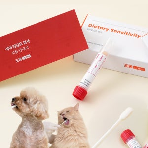 강아지 고양이 지연성 알러지 검사 식이 민감도 120종