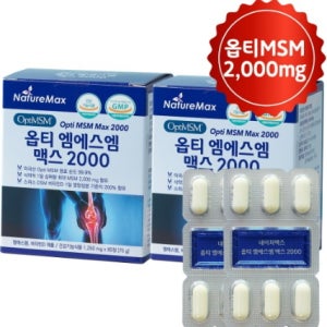 네이처맥스 엠에스엠 옵티 MSM 식이유황 120정 먹는유황 MSM 가루 분말