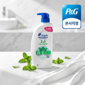 헤드앤숄더 2in1 쿨멘솔 샴푸 컨디셔너 겸용 800ml 1개