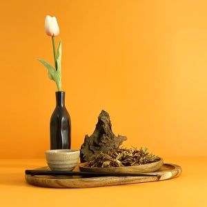 자연산 건조꾀꼬리버섯 유럽산 100g [송림푸드]