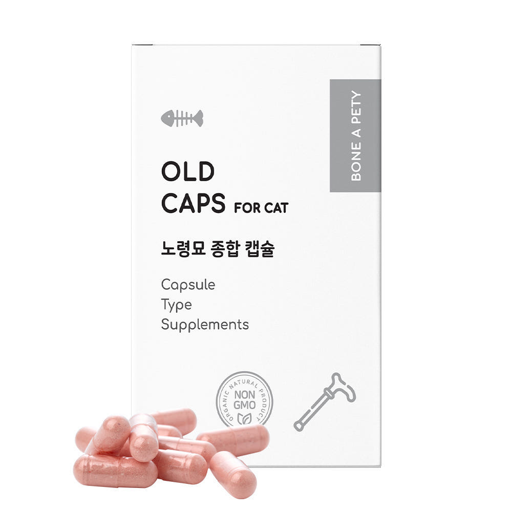 본아페티 노령묘 종합 영양제 올드캡스포캣 고양이 노화 구내염 관절 면역 60캡슐, 1개