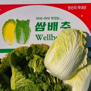 땅끝 해남 알배추 쌈배추 4kg 8kg 연풍농장 알배기 산지직송