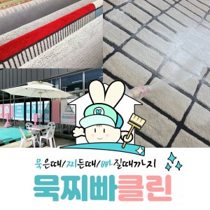 [부천/부평]카페트 수거세탁 업체 대형 거실 러그 청소 스팀케어 살균 카펫 소독 묵찌빠클린