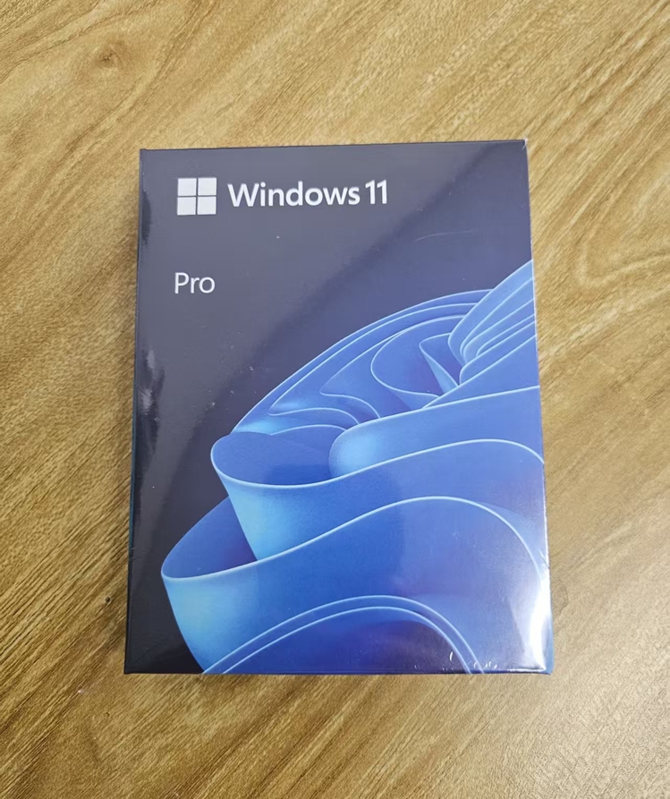 윈도우 11 프로 FPP 처음사용자용 영문 리테일 USB 풀패키지 한글 지원