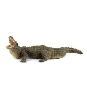 파포 야생 동물 장난감 피규어 나일 악어