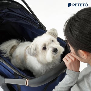 [EVENT] 페테토 분리형 강아지 유모차 COSMO 프리미엄 (컵홀더, 미니백 포함)