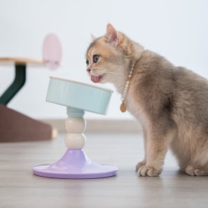 팔업 강아지 밥그릇 고양이 밥그릇 높이각도조절형 도자기 식기