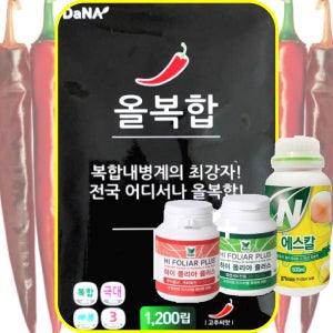 고추씨앗 고추종자 올복합 1200립 다나종묘 극대과종 복합내병계 조생종 고추씨