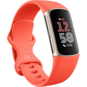 핏빗 차지6 Fitbit Charge 6 코랄