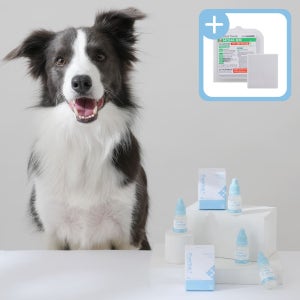 퓨어톡 강아지 고양이 인공 눈물 눈세정제 눈꼽 안구건조증 눈병 일회용 20ml, 1개