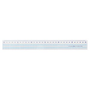 모닝글로리 2000 컬러 방안자 직자 플라스틱 30cm 눈금자 자 투명 직선자 랜덤