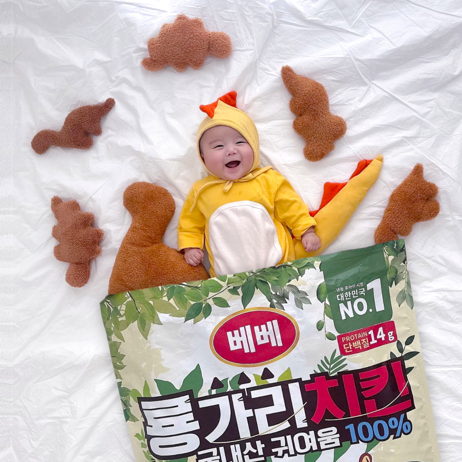[대여] 룡가리치킨 50일셀프촬영 100일 200일 아기 포토박스